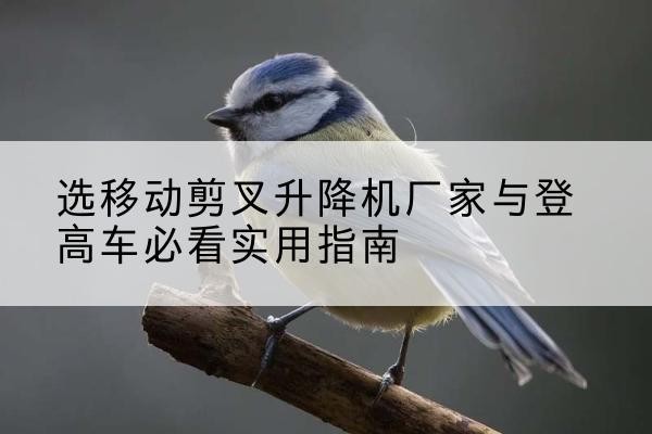 浠水电动升降机厂家-选移动剪叉升降机厂家与登高车必看实用指南