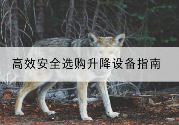 浠水升降货梯厂家推荐-*安全选购升降设备指南