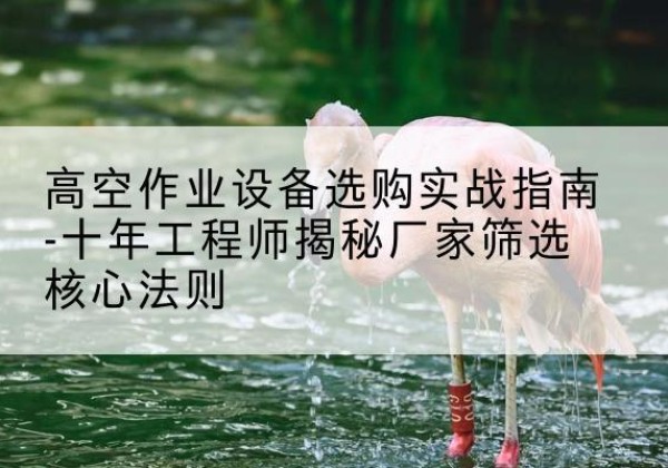 浠水剪叉式升降机厂家-高空作业设备选购实战指南-十年工程师揭秘厂家筛选核心法则